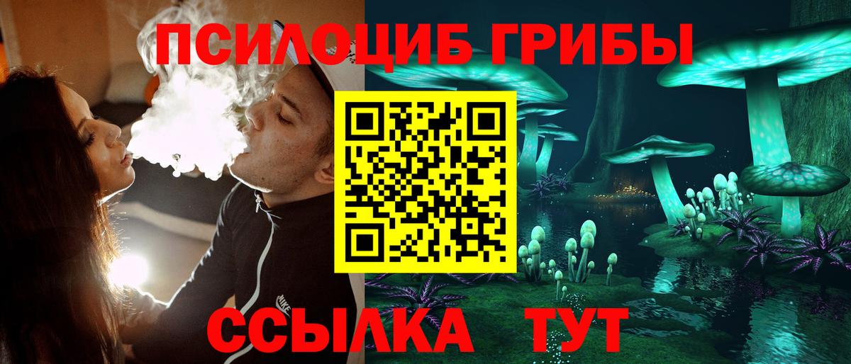 Острогожск  Галлюциногенные грибы Magic Shrooms  Вход с VPN  Псилоцибиновые грибы Psilocybe 